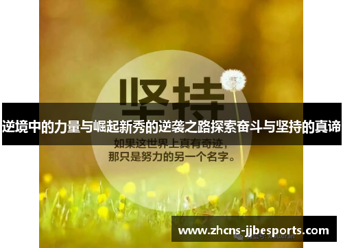 逆境中的力量与崛起新秀的逆袭之路探索奋斗与坚持的真谛 逆境中的力量与崛起新秀的逆袭之路探索奋斗与坚持的真谛