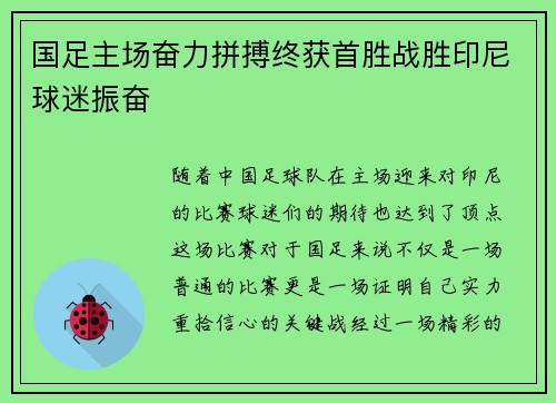 国足主场奋力拼搏终获首胜战胜印尼球迷振奋 国足主场奋力拼搏终获首胜战胜印尼球迷振奋